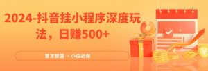 2024全网首次披露，抖音挂小程序深度玩法，日赚500+，简单、稳定，带渠道收入，小白必做【揭秘】-最全资源库