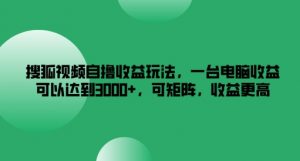 搜狐视频自撸收益玩法，一台电脑收益可以达到3k+，可矩阵，收益更高【揭秘】-最全资源库