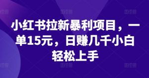 小红书拉新暴利项目，一单15元，日赚几千小白轻松上手【揭秘】-最全资源库