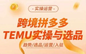 跨境拼多多TEMU实操与选品,多多temu跨境选品运营实操-最全资源库