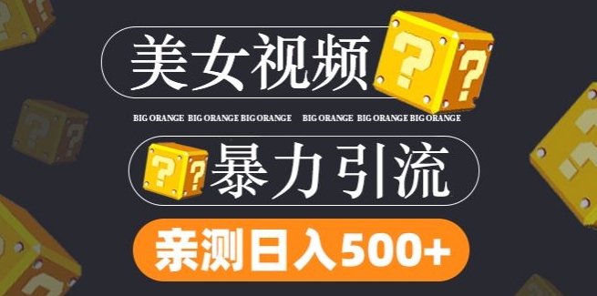搬运tk美女视频全网分发，日引s粉300+，轻松变现，不限流量不封号【揭秘】-最全资源库