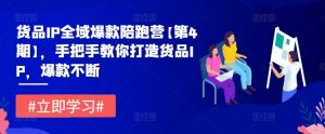 货品IP全域爆款陪跑营【第4期】,手把手教你打造货品IP,爆款不断-最全资源库