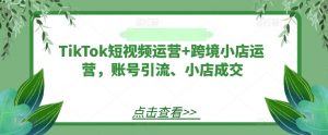 TikTok短视频运营+跨境小店运营，账号引流、小店成交-最全资源库