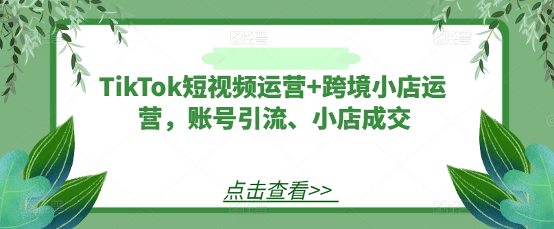 TikTok短视频运营+跨境小店运营，账号引流、小店成交-最全资源库