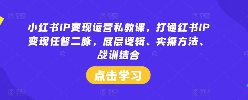 小红书IP变现运营私教课，打通红书IP变现任督二脉，底层逻辑、实操方法、战训结合-最全资源库