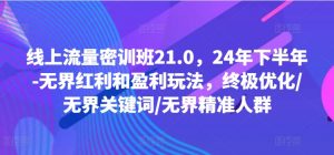 线上流量密训班21.0，24年下半年-无界红利和盈利玩法，终极优化/无界关键词/无界精准人群-最全资源库