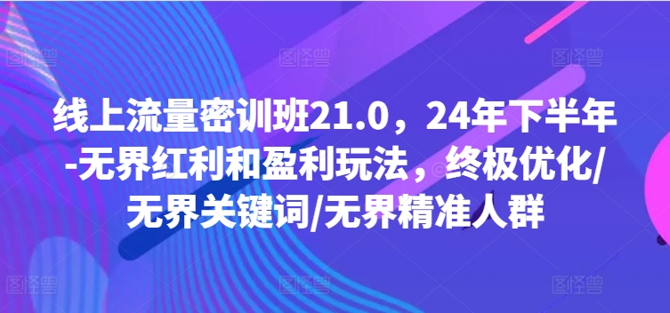 线上流量密训班21.0，24年下半年-无界红利和盈利玩法，终极优化/无界关键词/无界精准人群-最全资源库