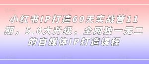小红书IP打造60天实战营11期，5.0大升级，全网独一无二的自媒体IP打造课程-最全资源库
