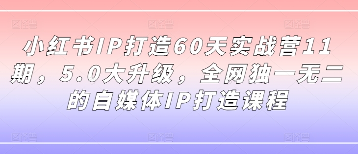 小红书IP打造60天实战营11期，5.0大升级，全网独一无二的自媒体IP打造课程-最全资源库