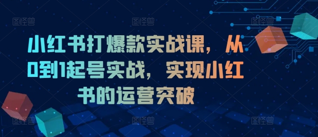 小红书打爆款实战课，从0到1起号实战，实现小红书的运营突破-最全资源库