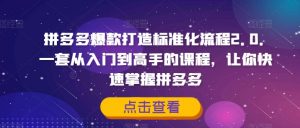 拼多多爆款打造标准化流程2.0，一套从入门到高手的课程，让你快速掌握拼多多-最全资源库