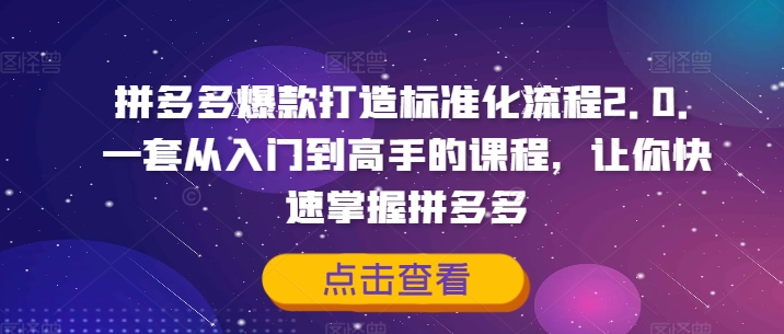 拼多多爆款打造标准化流程2.0，一套从入门到高手的课程，让你快速掌握拼多多-最全资源库