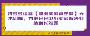 拼多多运营【聪明卖家都在做】无水印版，为拼多多中小卖家解决业绩增长难题-最全资源库