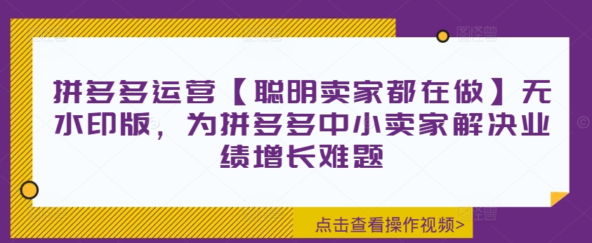 拼多多运营【聪明卖家都在做】无水印版,为拼多多中小卖家解决业绩增长难题-最全资源库
