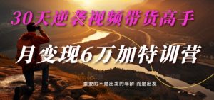 30天逆袭视频带货高手，单月变现6万加特训营-麦子甜-最全资源库