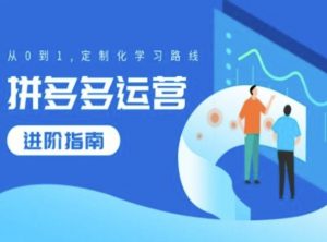 拼多多运营进阶指南,从0到1定制化学习路线-最全资源库