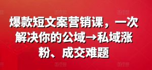 爆款短文案营销课，一次解决你的公域→私域涨粉、成交难题-最全资源库
