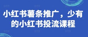 小红书薯条推广,少有的小红书投流课程-最全资源库