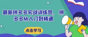 最新拼多多实战训练营， 拼多多从入门到精通-最全资源库