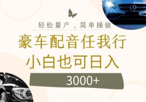 不为人知的暴力小项目，豪车配音，日入几张【揭秘】-最全资源库