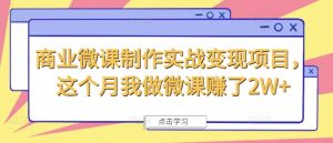 商业微课制作实战变现项目,这个月我做微课赚了2W+-最全资源库