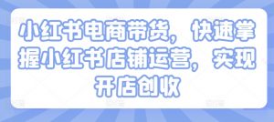 小红书电商带货,快速掌握小红书店铺运营,实现开店创收-最全资源库