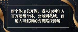新个体ip公开课，素人ip到年入百万超级个体，公域到私域，普通人可复制的变现路径拆解-最全资源库