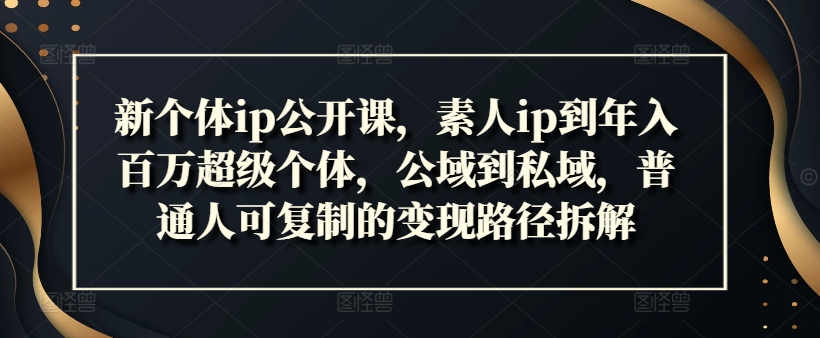 新个体ip公开课，素人ip到年入百万超级个体，公域到私域，普通人可复制的变现路径拆解-最全资源库