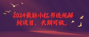 2024最新小红书违规解封项目，长期可做，一个可以做到退休的项目【揭秘】-最全资源库