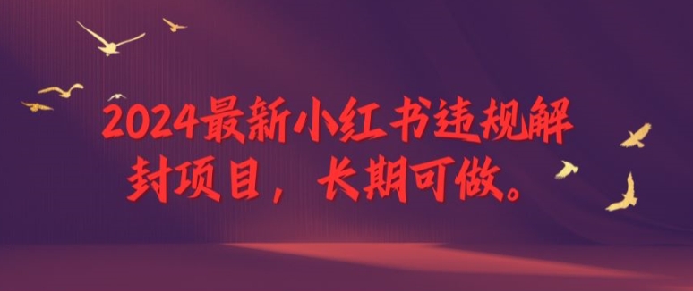 2024最新小红书违规解封项目，长期可做，一个可以做到退休的项目【揭秘】-最全资源库