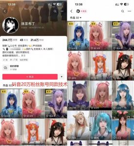 云天二次元美女起号教学，月涨10万粉丝，不判搬运-最全资源库