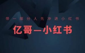 带一部分人先冲进小红书,小红书开店、选品、爆款裂变-最全资源库