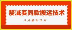 抖音96万粉丝账号【嫠㵄㚣】同款搬运技术-最全资源库