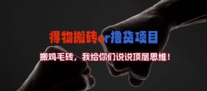 得物搬砖撸货项目?掰下数据,我给你们说说顶层思维【揭秘】-最全资源库