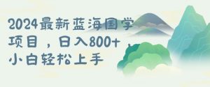 国学项目，长期蓝海可矩阵，从0-1的过程【揭秘】-最全资源库