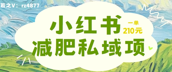小红书减肥粉，私域变现项目，一单就达210元，小白也能轻松上手【揭秘】-最全资源库