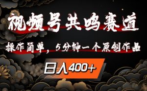 视频号共鸣赛道，操作简单，5分钟1个原创作品，日入几张【揭秘】-最全资源库