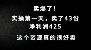 这个资源，需求很大，实操第一天卖了43份，净利润425【揭秘】-最全资源库