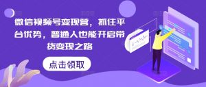 微信视频号变现营,抓住平台优势,普通人也能开启带货变现之路-最全资源库