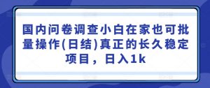 国内问卷调查小白在家也可批量操作(日结)真正的长久稳定项目，日入1k【揭秘】-最全资源库