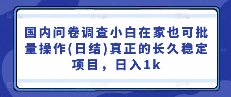 国内问卷调查小白在家也可批量操作(日结)真正的长久稳定项目,日入1k【揭秘】-最全资源库