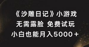 《沙雕日记》小游戏，无需露脸免费试玩，小白也能月入5000+【揭秘】-最全资源库