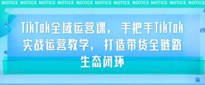 TikTok全域运营课，手把手TikTok实战运营教学，打造带货全链路生态闭环-最全资源库