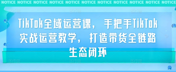 TikTok全域运营课，手把手TikTok实战运营教学，打造带货全链路生态闭环-最全资源库