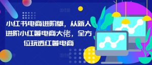 小红书电商进阶版，从新人进阶小红薯电商大佬，全方位玩透红薯电商-最全资源库