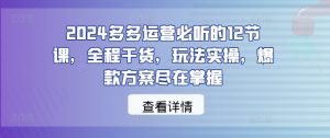 2024多多运营必听的12节课，全程干货，玩法实操，爆款方案尽在掌握-最全资源库