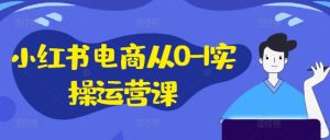 小红书电商从0-1实操运营课,小红书手机实操小红书/IP和私域课/小红书电商电脑实操板块等-最全资源库
