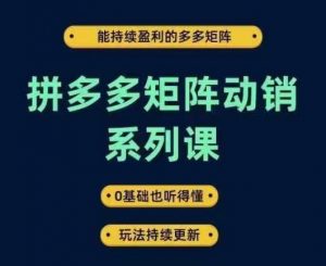 拼多多矩阵动销系列课，能持续盈利的多多矩阵，0基础也听得懂，玩法持续更新-最全资源库