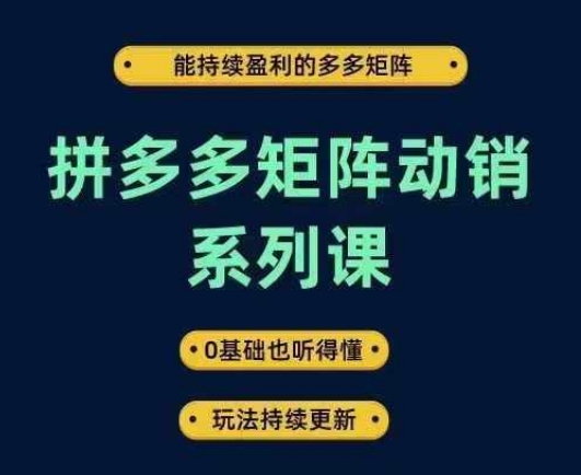 拼多多矩阵动销系列课，能持续盈利的多多矩阵，0基础也听得懂，玩法持续更新-最全资源库
