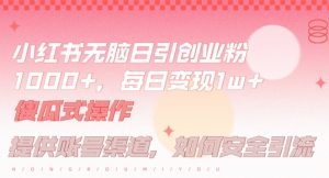小红书无脑每日引流创业粉500+，小白每天只花半小时，躺赚长尾收益【揭秘】-最全资源库